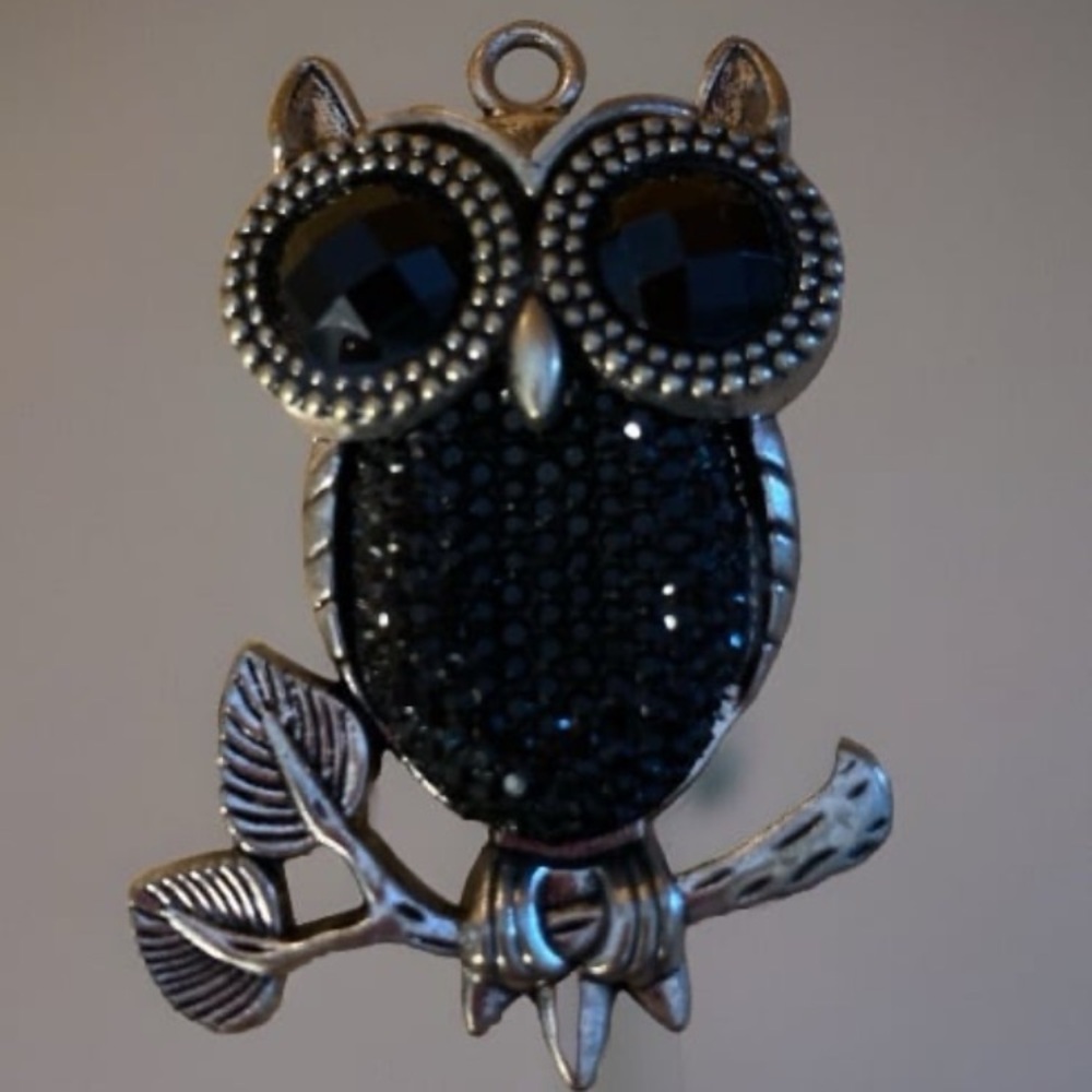 Elegant Black Owl Pendant Necklace